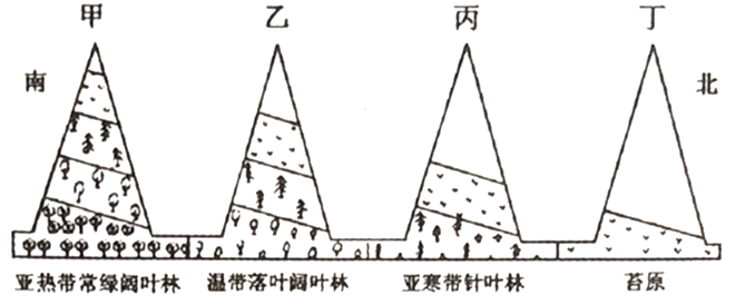 【单选题】下图为不同纬度山地垂直自然带分布图,读图回答下列问题.