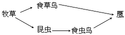 【解答题】如图是南瓜的发育过程示意图,请据图回答