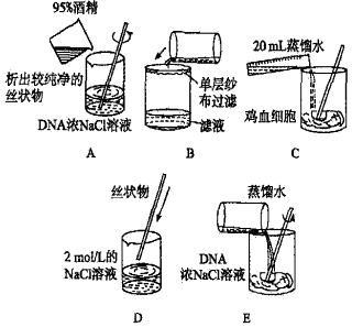 如图为dna粗提取过程中的一些重要操作,请据图回答下列问题.