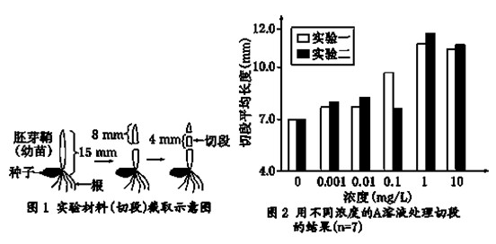 > 在驗證生長素類似物a對小麥胚芽鞘(幼苗)伸長影響的實驗中,將如圖1