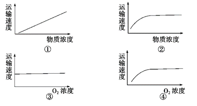 某科学家在研究细胞膜运输物质时发现有四种关系,分别用下列四种曲线